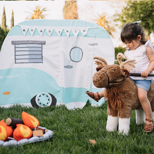 Road Trip Camper